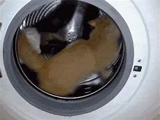 Clothes Tumble Dryer