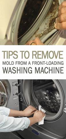 Mold Washing Machines