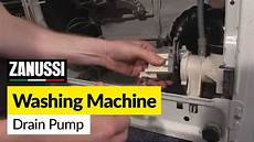 Washing Machine Drain Pump Motor